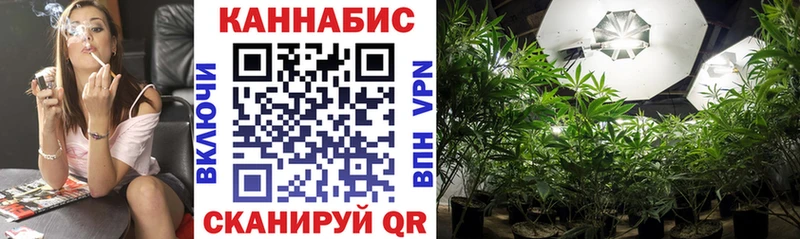 Шишки марихуана LSD WEED  Купить закладки  Тында 